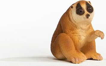 Slow Loris - Image 2