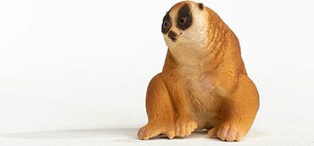 Slow Loris - Image 3