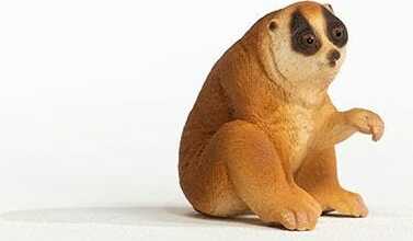 Slow Loris - Image 6
