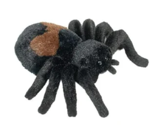 Sneaky Spider