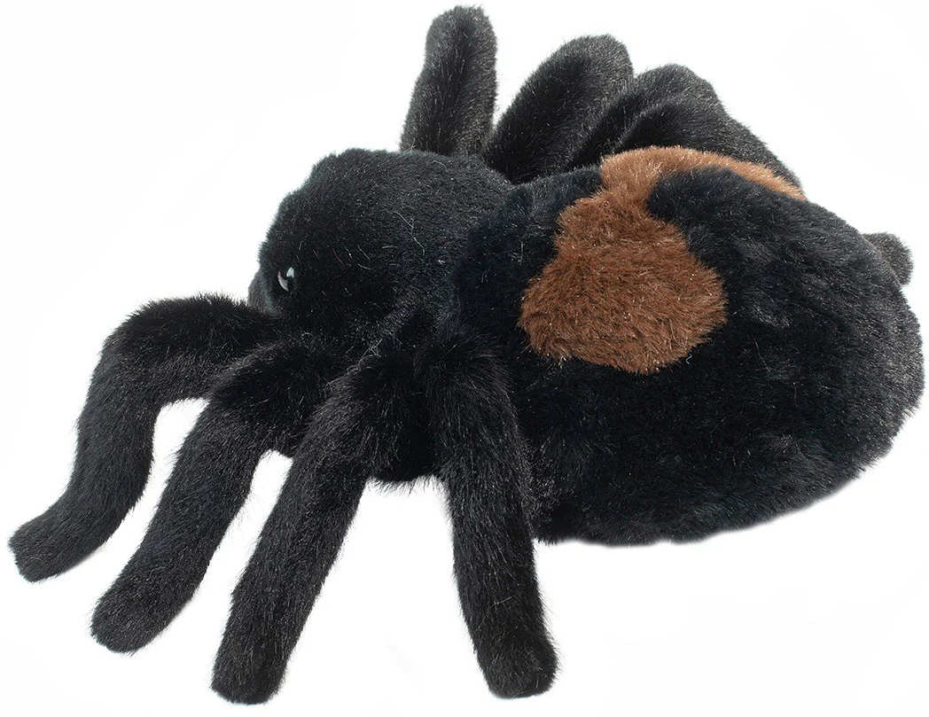 Sneaky Spider - Image 4