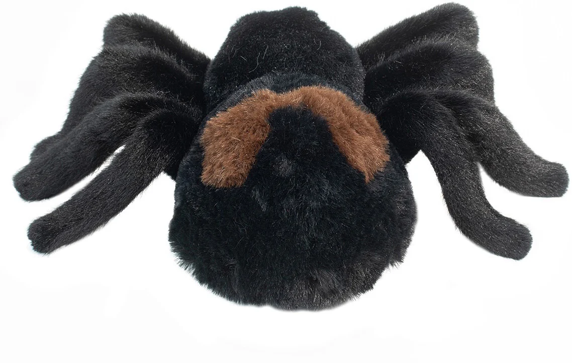 Sneaky Spider - Image 5