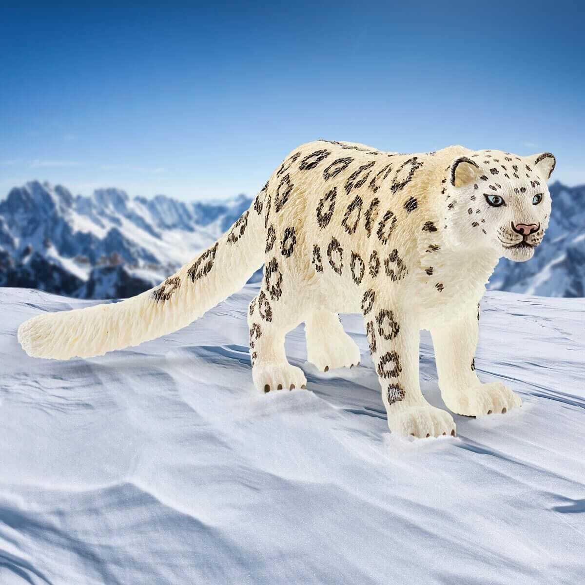 Snow Leopard - Image 4