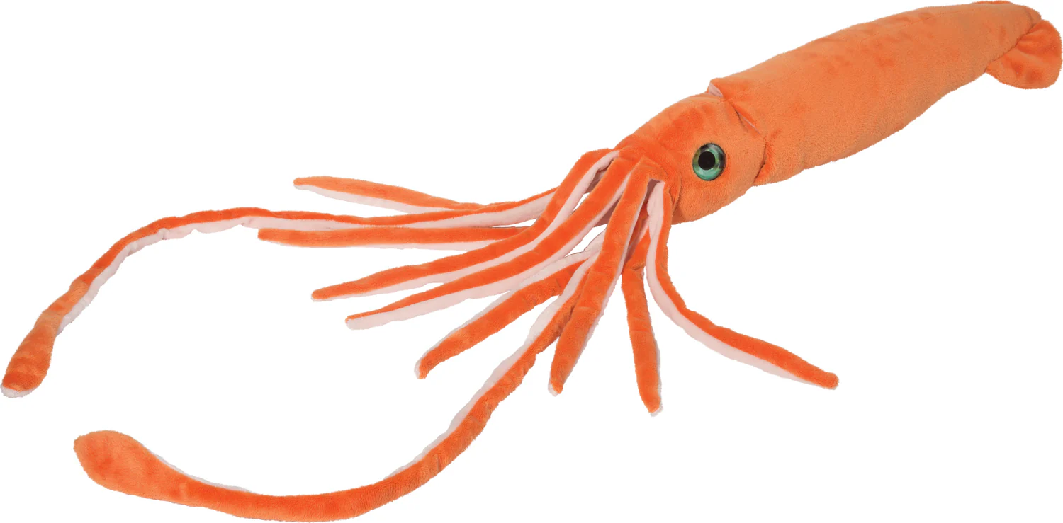 Stretch Squid - Image 2
