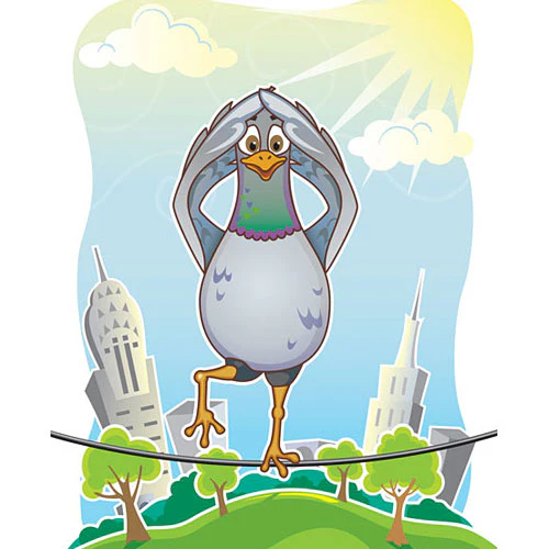 Sturdy Birdy - Image 3