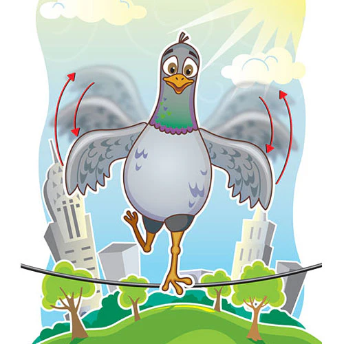 Sturdy Birdy - Image 4