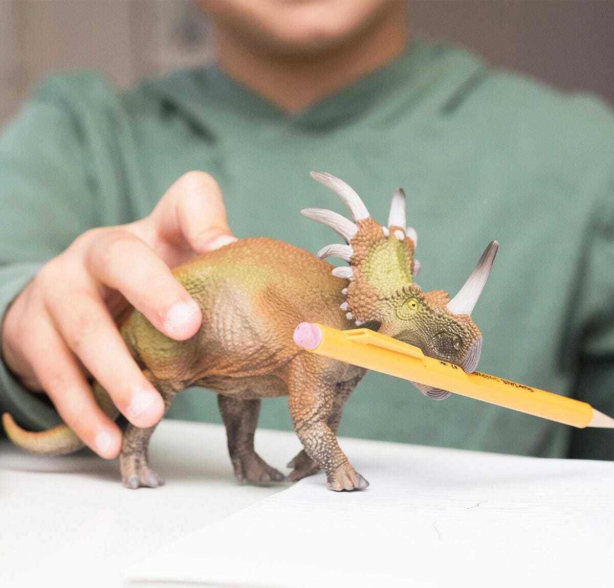 Styracosaurus 2022 - Image 3