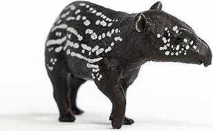 Tapir Baby - Image 5