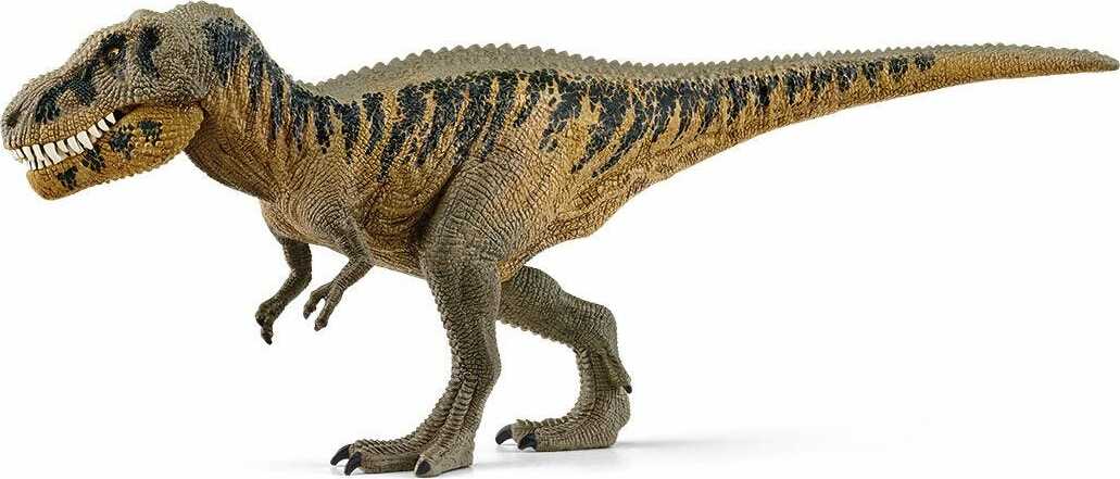 Tarbosaurus - Image 4