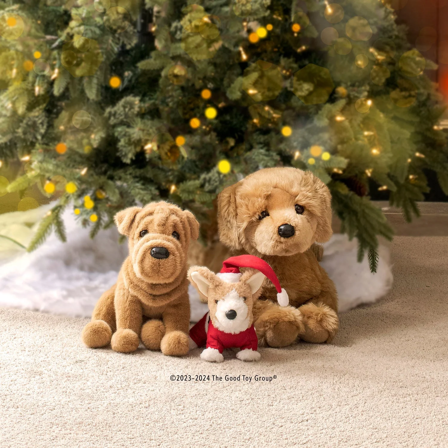 Tater DLux Shar-Pei - Image 5