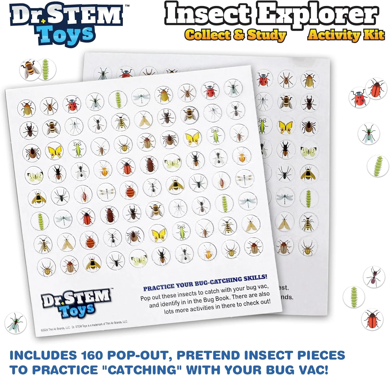 Insect Explorer - Image 3