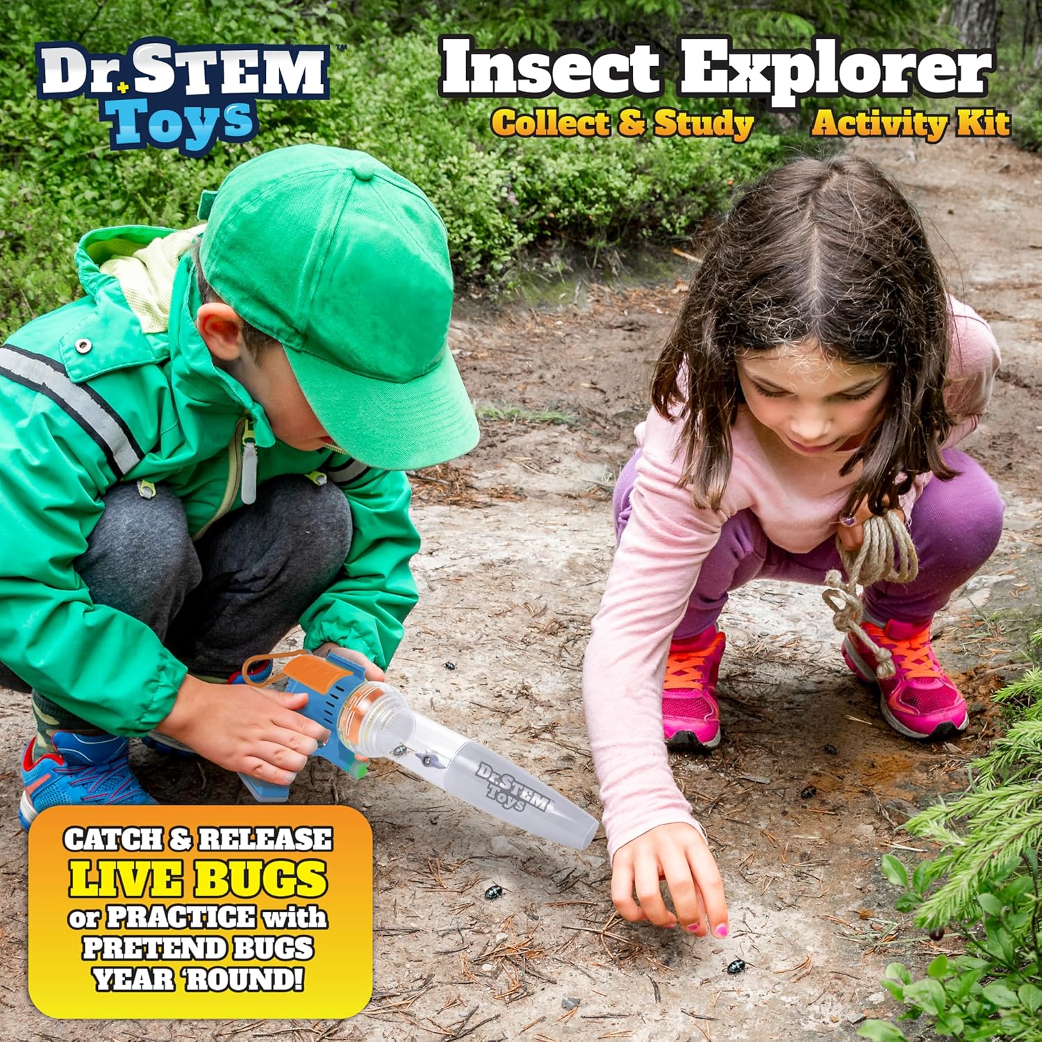 Insect Explorer - Image 5