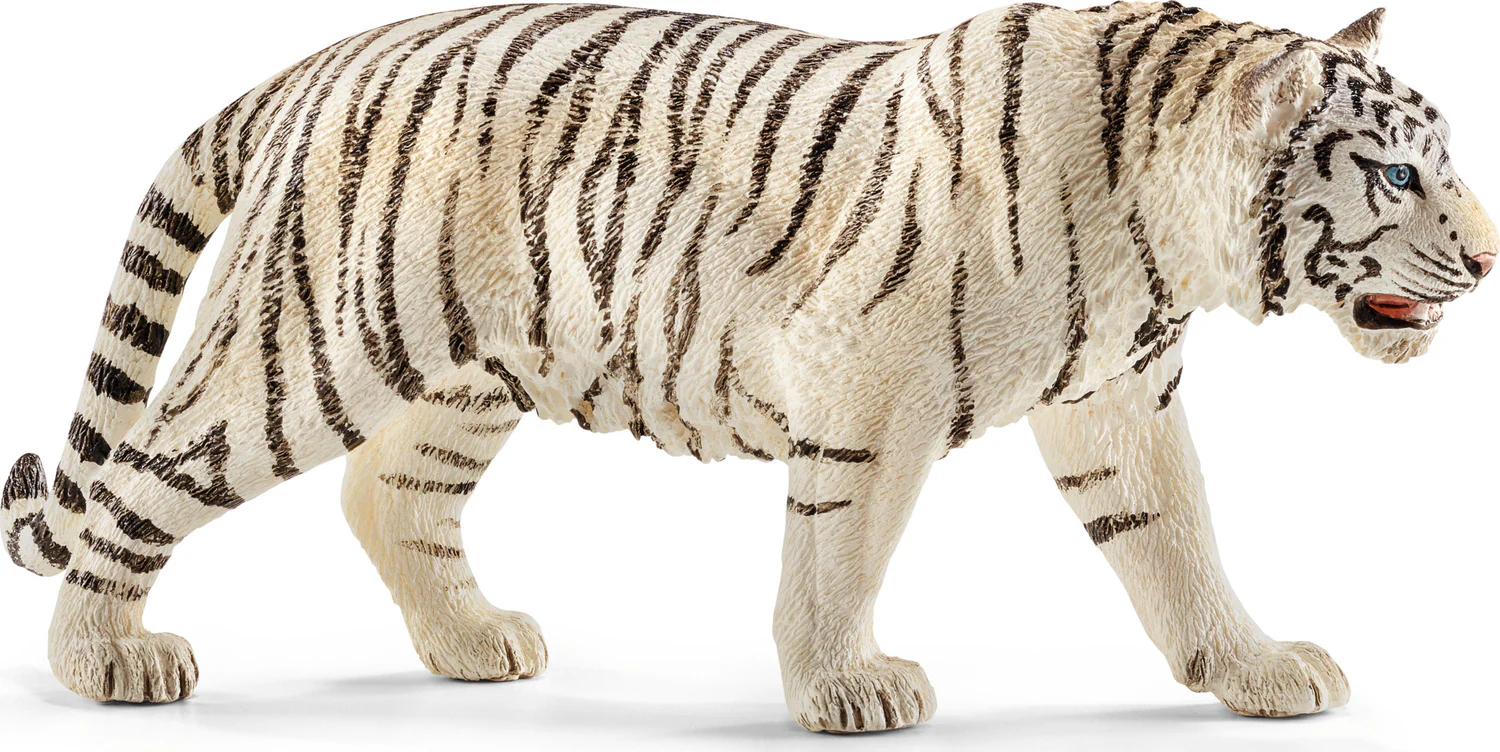Tiger, white - Image 5
