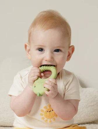 Dino Teether - Image 3