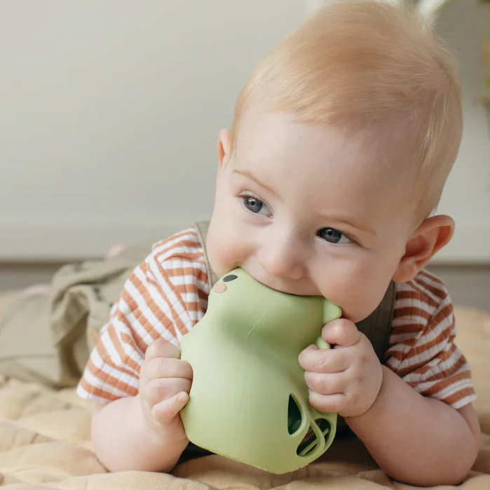 Dino Rattle - Image 3
