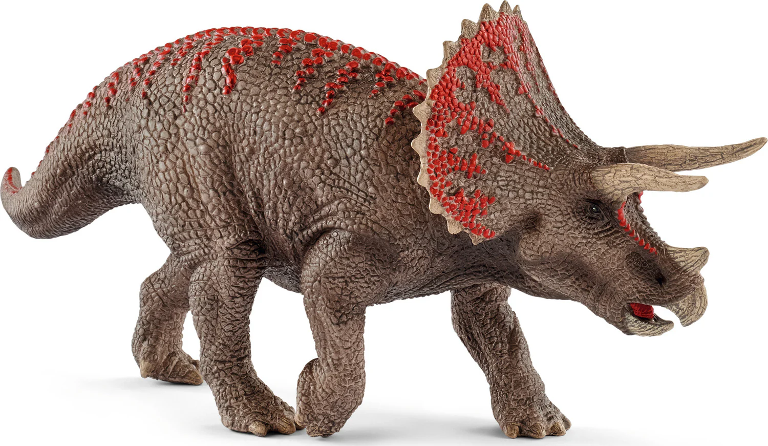 Triceratops - Image 3