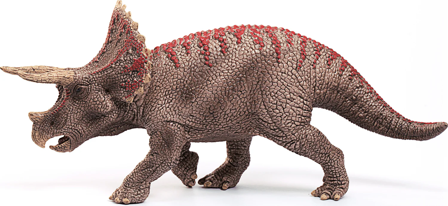 Triceratops - Image 5