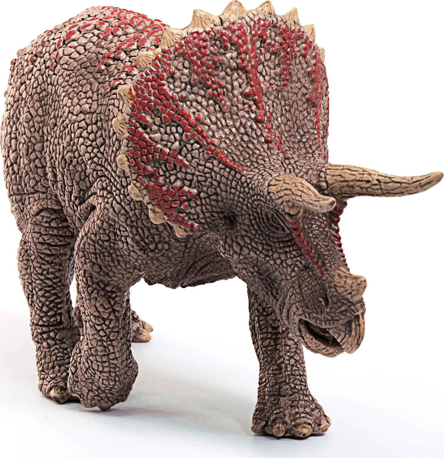 Triceratops - Image 6