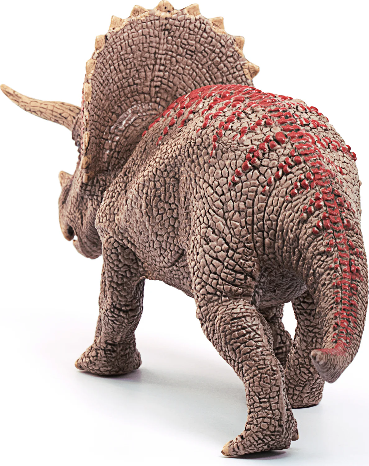 Triceratops - Image 7