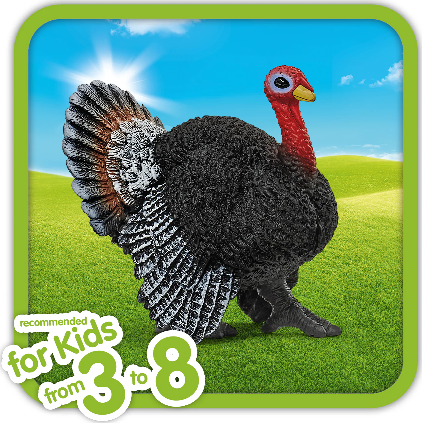 Turkey - Image 3