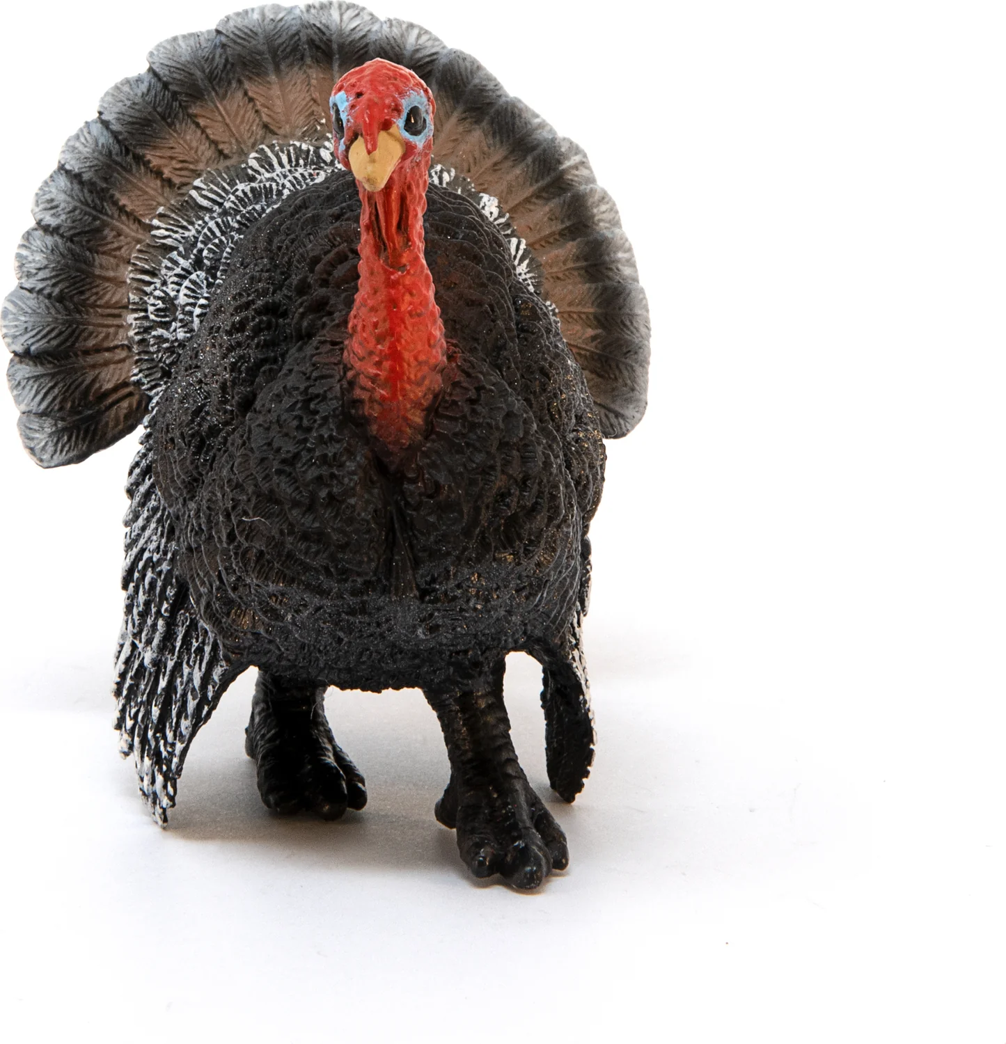 Turkey - Image 4
