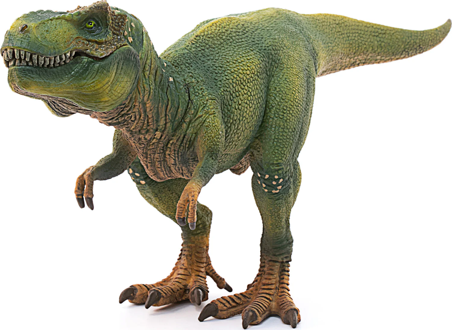 Tyrannosaurus Rex - Image 2