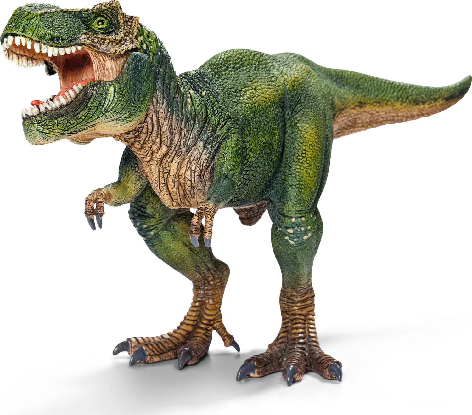 Tyrannosaurus Rex - Image 3