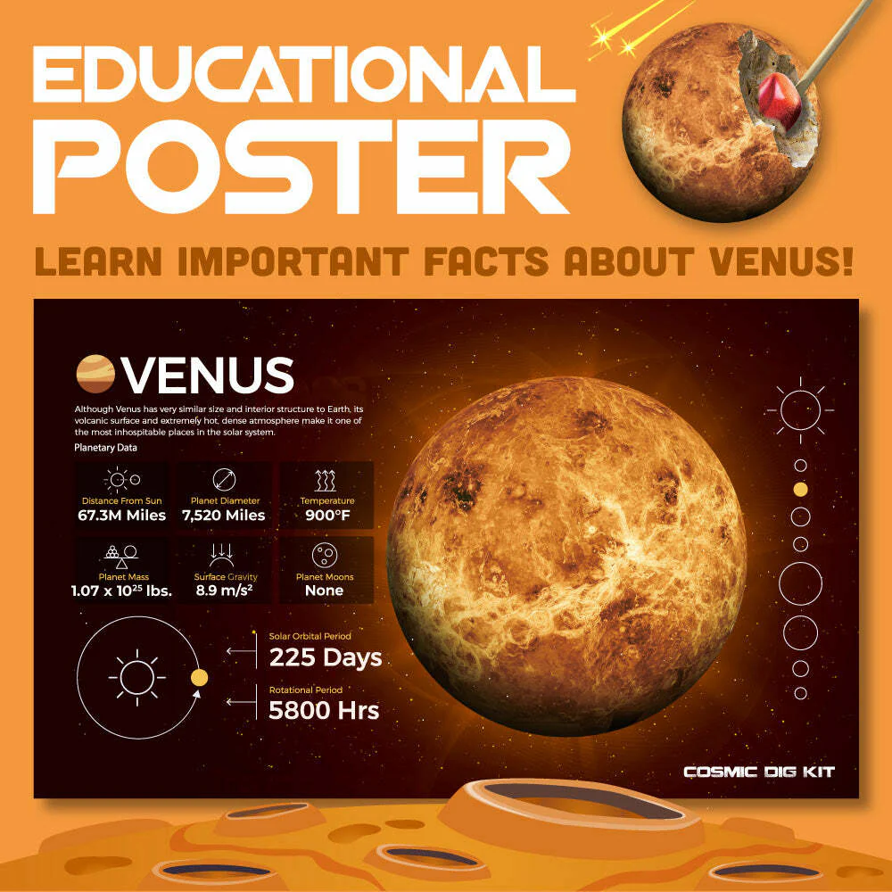 Venus Cosmic Dig Kit - Image 3