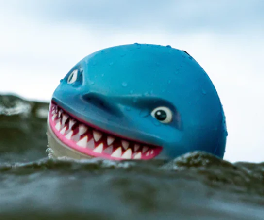 Sharky Shark - Image 2
