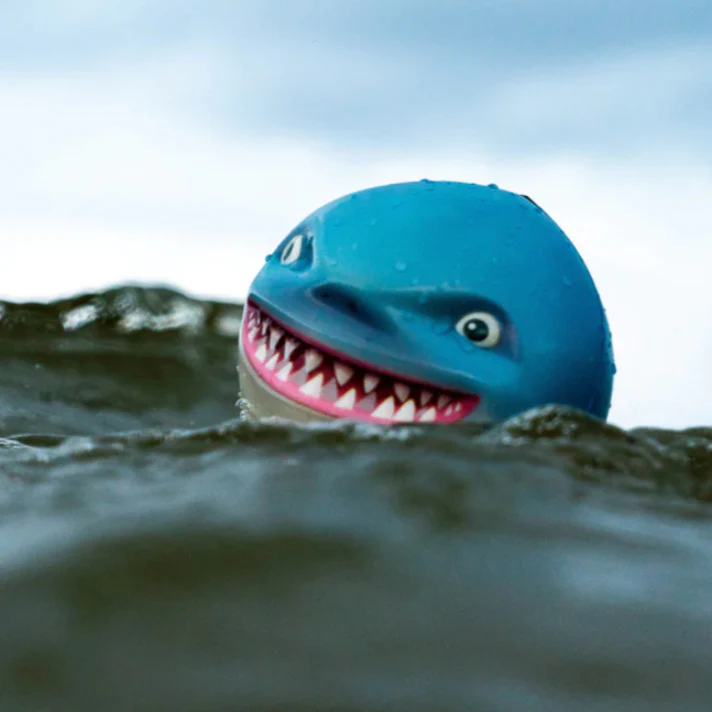 Sharky Shark - Image 5