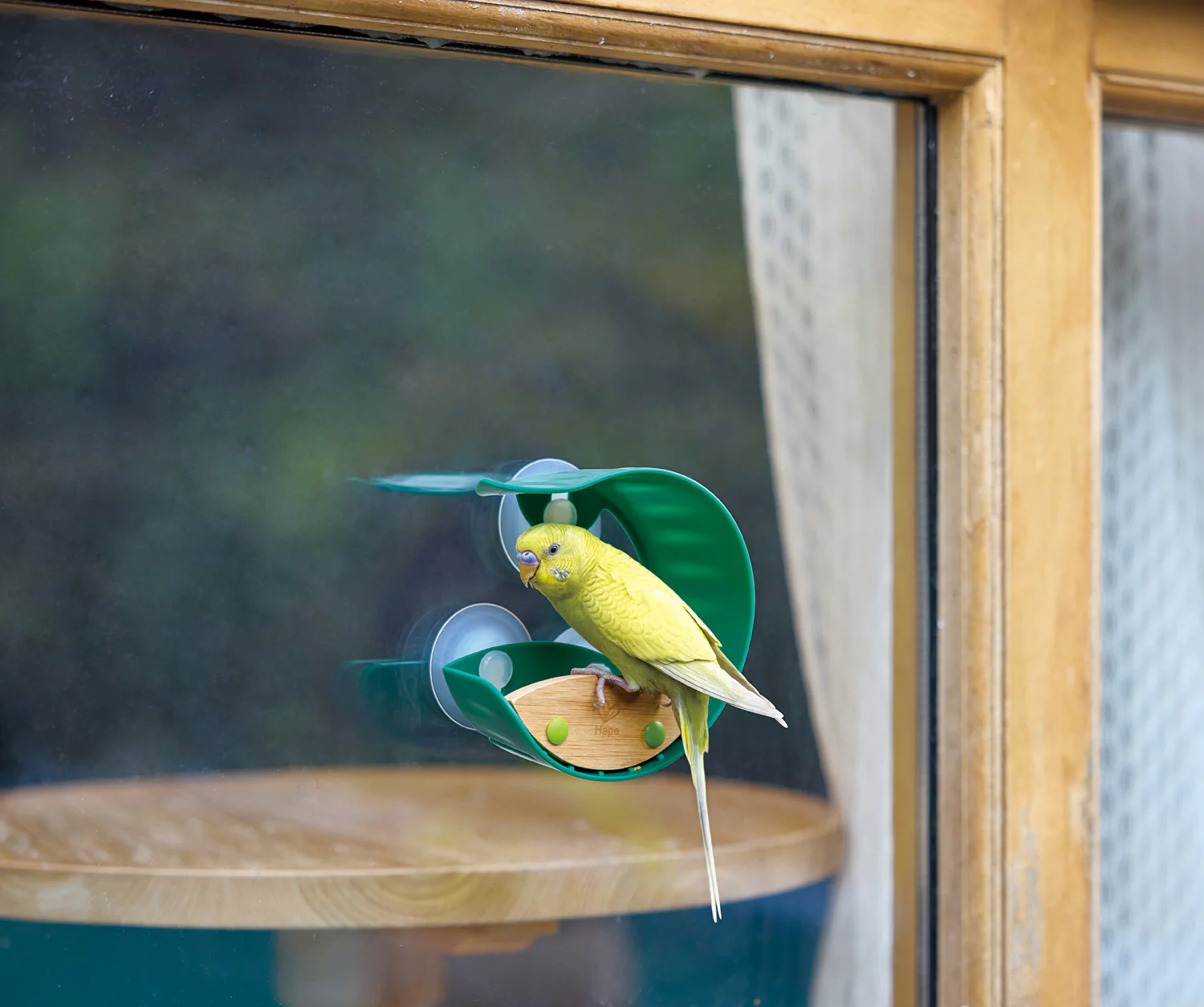 Window Bird Feeder - Image 3