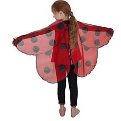 Wings, Ladybird - Image 3