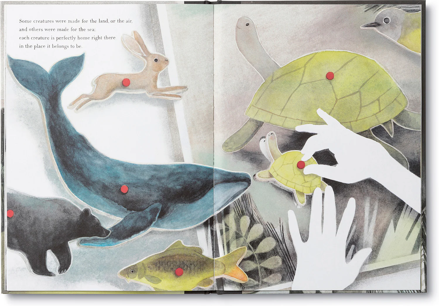You Belong Here Hardcover Book - Image 4