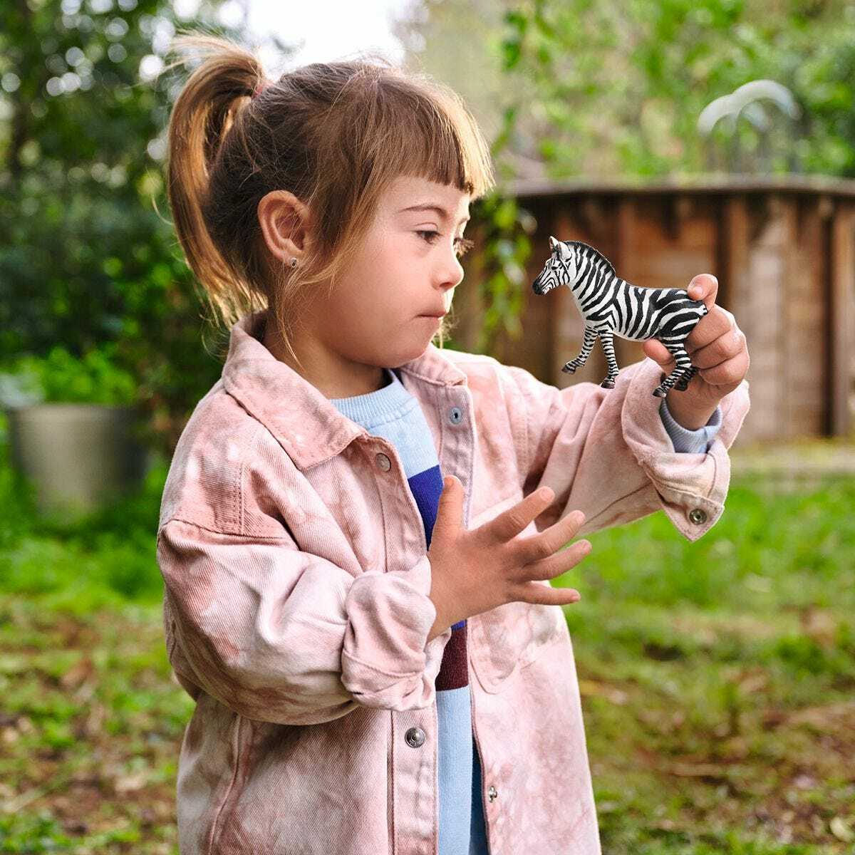 Zebra, Female - Image 2